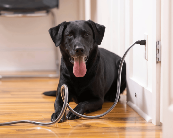 PetCords Heavy Duty 8ft Cable Protector for Pet Safety
